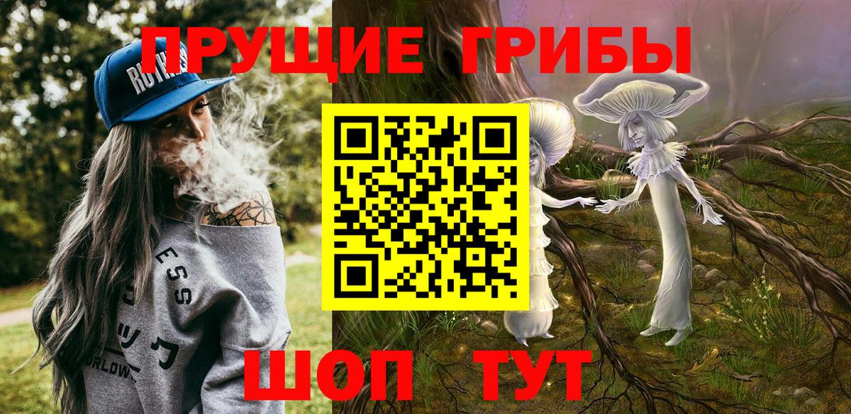 Галлюциногенные грибы Psilocybe  Вход с VPN  Малгобек 