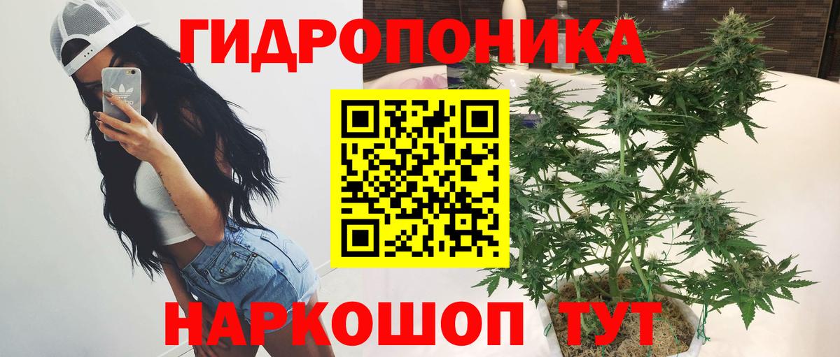 Марихуана SATIVA & INDICA Малгобек